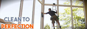 professional window cleaning