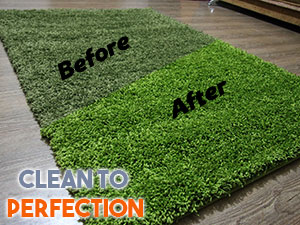 Carpet Cleaning Before and After