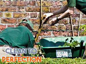 Gardener mowing the lawn