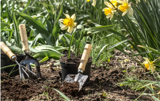 Professional gardening services