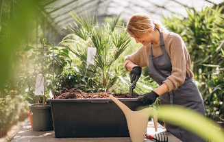 Professional gardening services