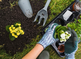 Professional gardening services