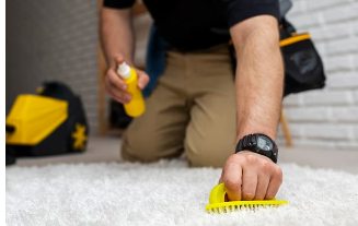 Carpet Cleaning